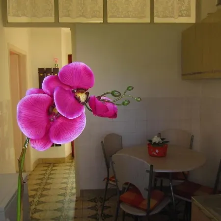 Haus Relax Ideal Fur Haustiere * Pula